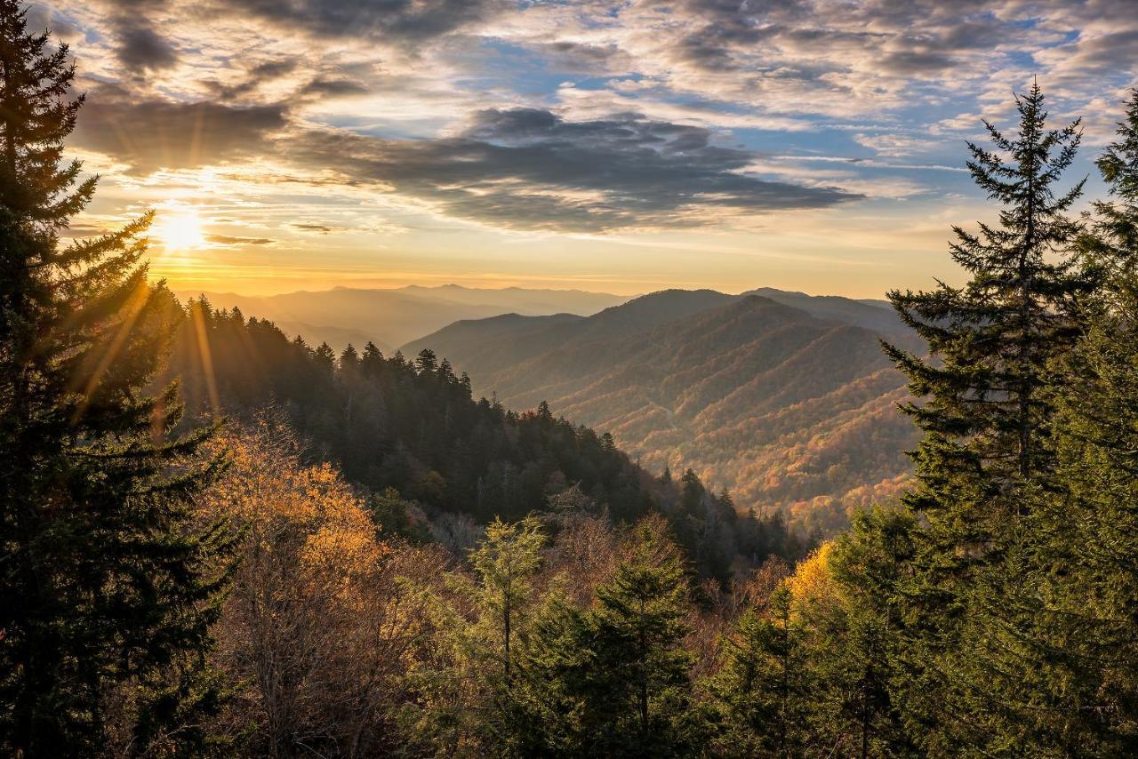 Mountain Flower, 4 Bedrooms, Hot Tub, Pool, Sleeps 12 Pigeon Forge Buitenkant foto